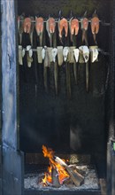 Fish in a smoker or smokehouse