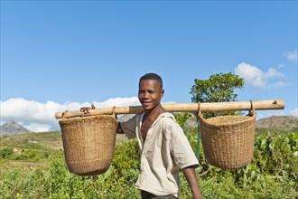 Young man of the Antandroy people carrying baskets for field work