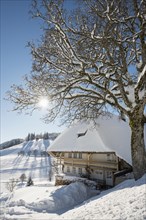 Old black forest farm with snowy landscape