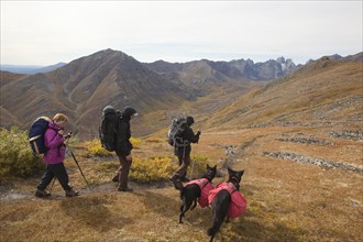People and dogs with backpacks hiking in arctic or subalpine tundra