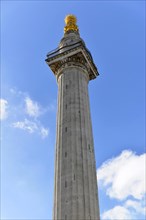 Corinthian column in Warwick Court