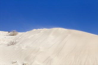 Dune