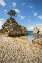 Sandy beach and rocks