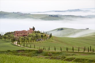 Fog in the valleys at Podere Baccoleno