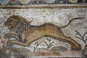 Antique Mosaic of Lion figure