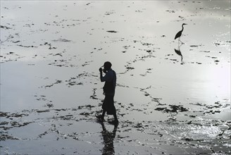 Man walking past a heron in a lagoon at low tide