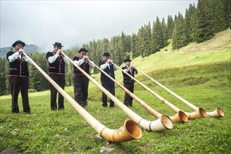 Group of alphorn players performing on a meadow in Justistal valley