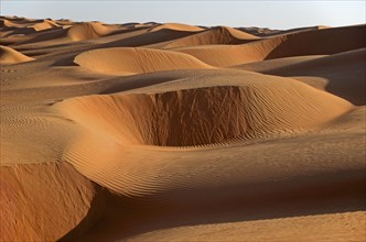 The sand dunes of the Wahiba Sands desert