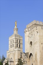 The Palais des Papes or Papal Palace and Avignon Cathedral