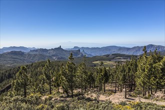 View from Pico de las Nieves towards Roque Nublo Mountain