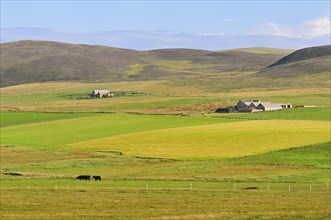Landscape with a farm