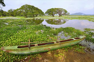 Outrigger canoe on the banks of the artificial lake Tissa Wewa