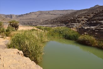 Water in a guelta in Idaran Canyon