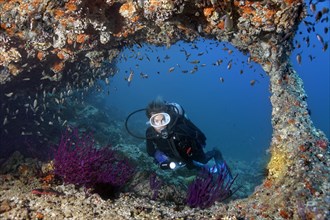 Female diver swimming through an arch in the reef with various species of reef fish (Pomacentridae)