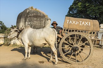 Oxcart taxi parked in front of the ruins of the half-lion Chinthe