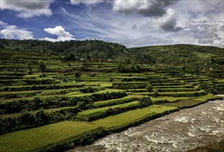 Rice fields near Ambositra