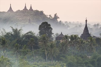 Pagodas and temples surrounded by trees