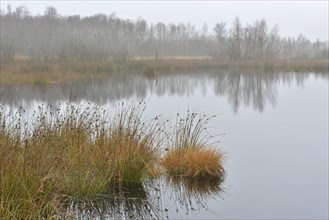 High moor in autumn