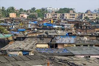 A slum area with houses made from corrugated iron sheets