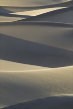 Mesquite Flat Sand Dunes in the evening