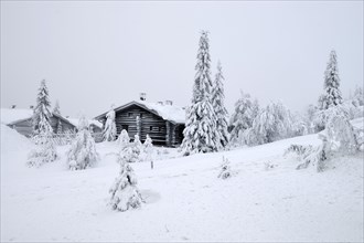 Finnish log cabin in the snow-covered landscape