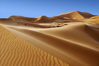 Sahara sand dunes of erg Chebbi
