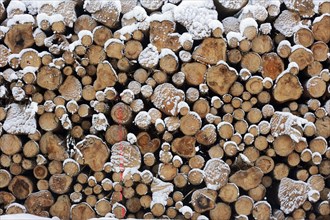 Stack of wood in winter