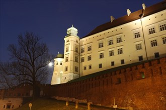 Wawel Castle with dungeon
