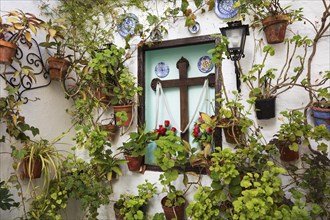 Corner with many potted plants and a cross