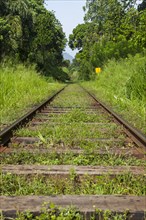 Old train tracks