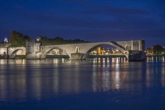 Rhone with the Pont Saint-Benezet bridge