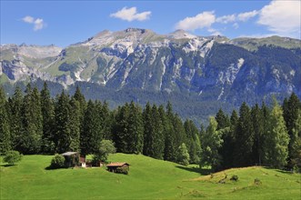 Alpine meadow with hut near Flims
