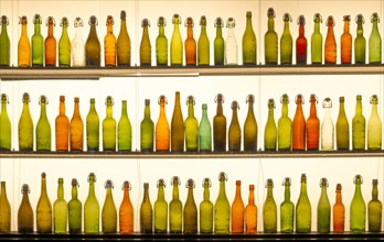 Collection of old beer bottles