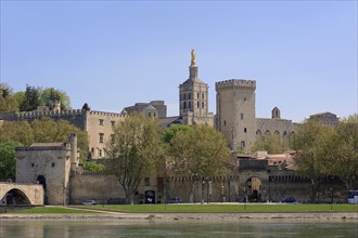 The Palais des Papes palace and Avignon Cathedral