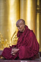 Buddhist monk in prayer