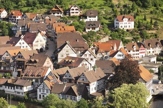 Townscape of Schiltach