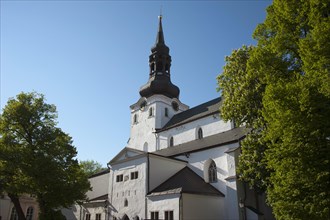 St Mary's Cathedral or Toomkirik