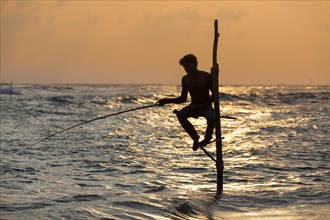 Stilt fisherman fishing in shallow water