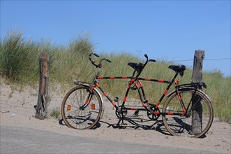 Tandem leaning against a fence in the dunes