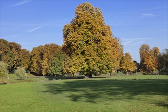 Rosensteinpark in autumn