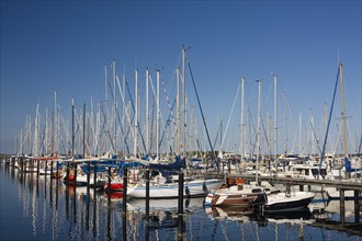 Sailboats in the marina
