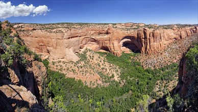 The wooded Betatakin Canyon with the Anasazi cliff dwellings