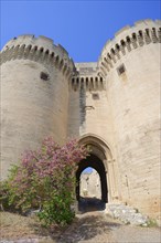 Gate of Fort Saint-Andre