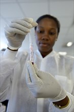 A lab technician is analysing blood samples in a laboratory