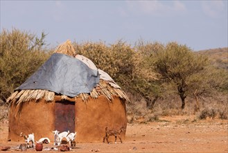 Mud hut of the Himba