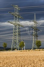 Newly erected high-voltage pylons of the South-West Interconnector of the transmission system operator 50 Hertz
