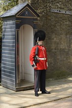Queens Guard on sentry duty