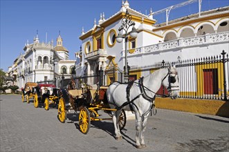 Horse-drawn carriages