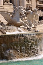 The baroque Trevi Fountain