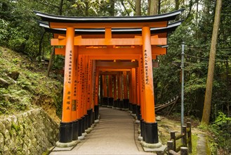 Torii or gates leading to the inner shrine